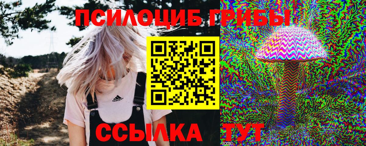 Псилоцибиновые грибы Psilocybe  сколько стоит  Людиново  Вход с VPN 